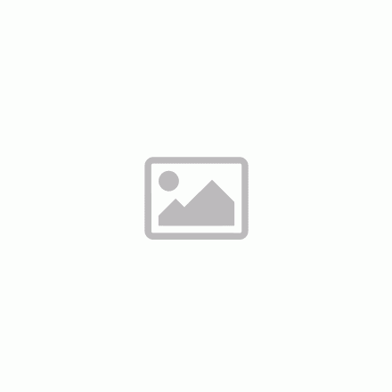 Basset Hound rajzos autómatrica